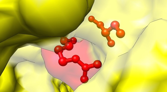 Enzyme giúp nâng cao năng suất nuôi trồng thủy sản