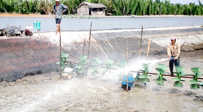 Hạn chế chất thải trong nuôi thủy sản