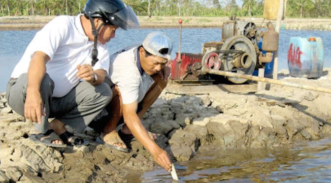 Giải pháp nuôi tôm mùa nóng