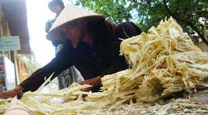 “Vua tôm” Võ Hồng Ngoãn: Nuôi tôm an toàn sinh học từ bã mía