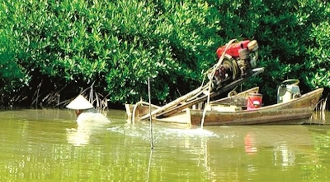 Bảo vệ môi trường trong cải tạo đầm nuôi tôm