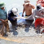 Để tôm càng xanh ngày càng mạnh