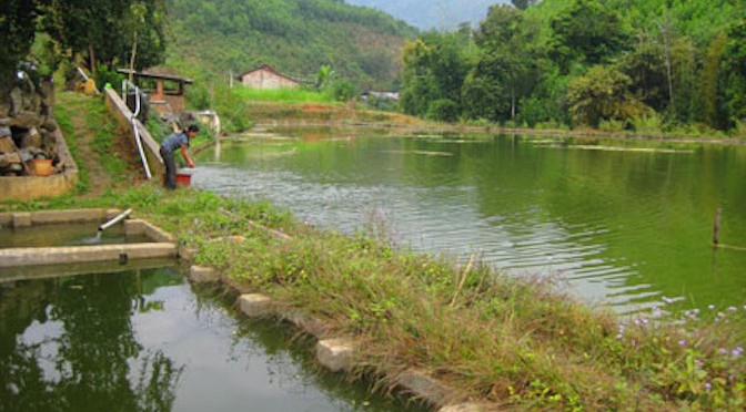 Những đột phá trong nuôi trồng thủy sản