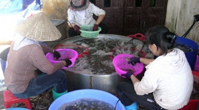 Chuyện nuôi trồng thủy sản ở vùng ven biển Kim Sơn