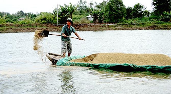 Quy chuẩn kỹ thuật quốc gia về cơ sở nuôi cá tra trong ao