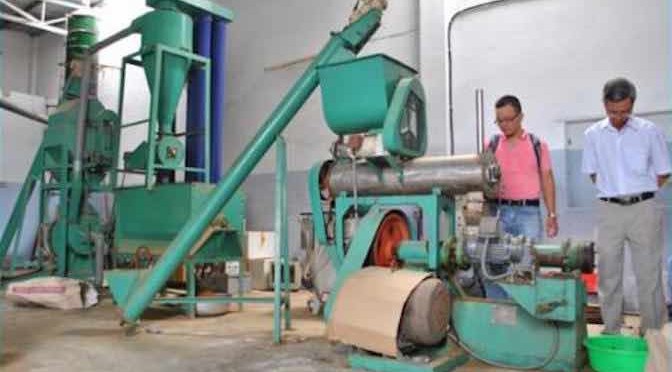 Sản xuất thành công thức ăn công nghiệp nuôi tôm hùm