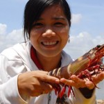 Ngành tôm Việt Nam: Chủ động để bền vững