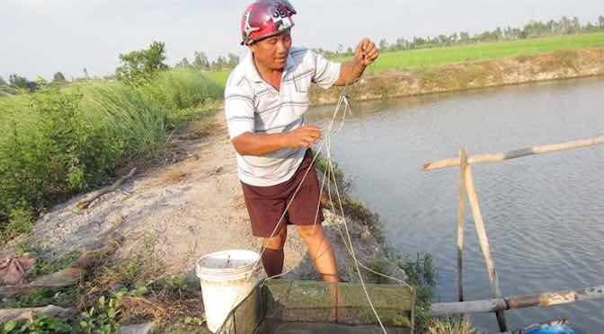 Tỷ phú cá chình An Giang