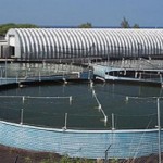 Ấn tượng trang trại nuôi tôm sạch lớn nhất thế giới