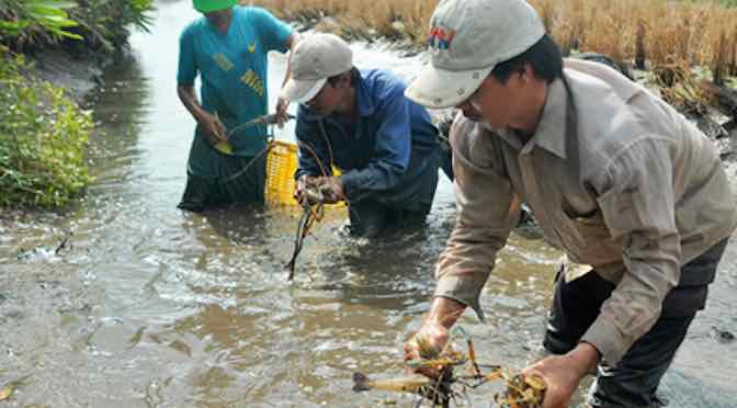 Giải pháp cho mô hình nông nghiệp thông minh