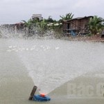 Chăn nuôi thủy sản an toàn