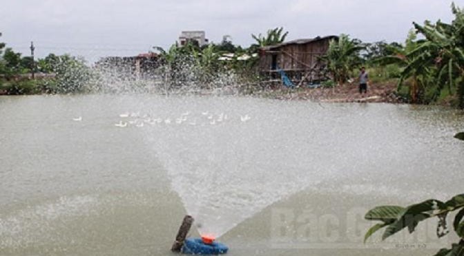 Chăn nuôi thủy sản an toàn