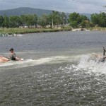 Phòng ngừa bệnh đốm trắng ở tôm nuôi