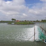 Khung lịch thời vụ nuôi trồng thủy sản năm 2016