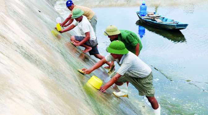 Chủ động phòng bệnh tôm nuôi